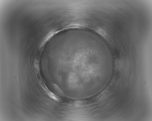 X0000066091355200603131153