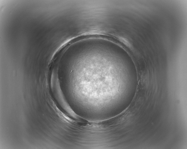 X0000066091356200603131153