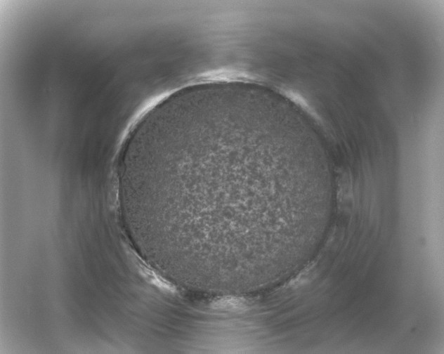 X0000066091358200603131153