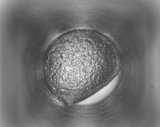 X0000066091359200603131153