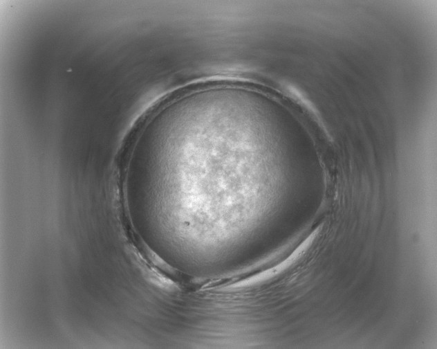 X0000066091360200603131153