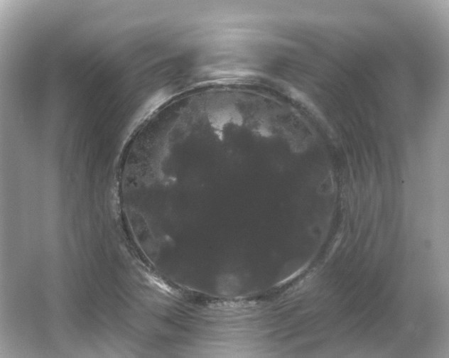 X0000066091362200603131153