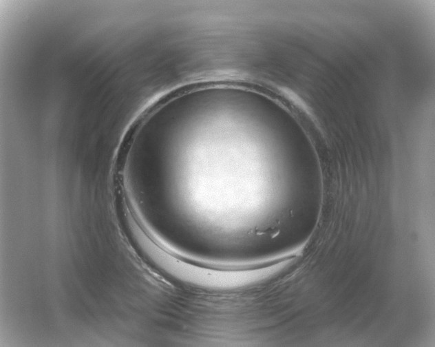 X0000066091364200603131153