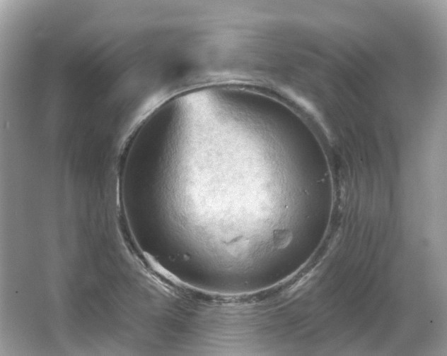 X0000066091365200603131153