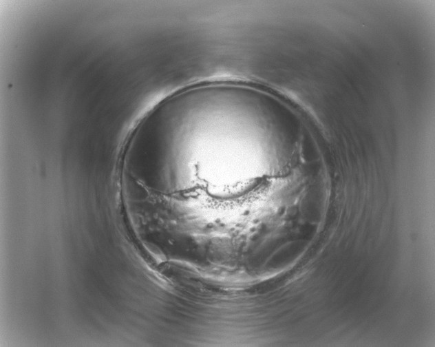 X0000066091367200603131153