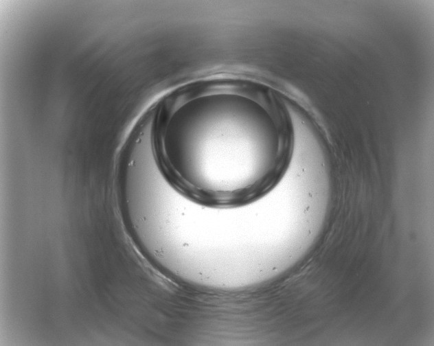 X0000066091368200603131153