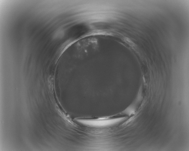 X0000066091369200603131153