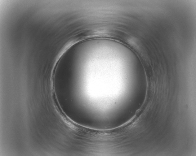 X0000066091370200603131153