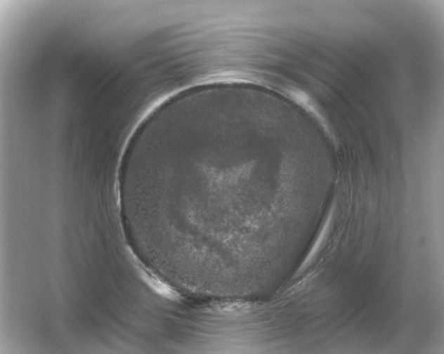 X0000066091372200603131153