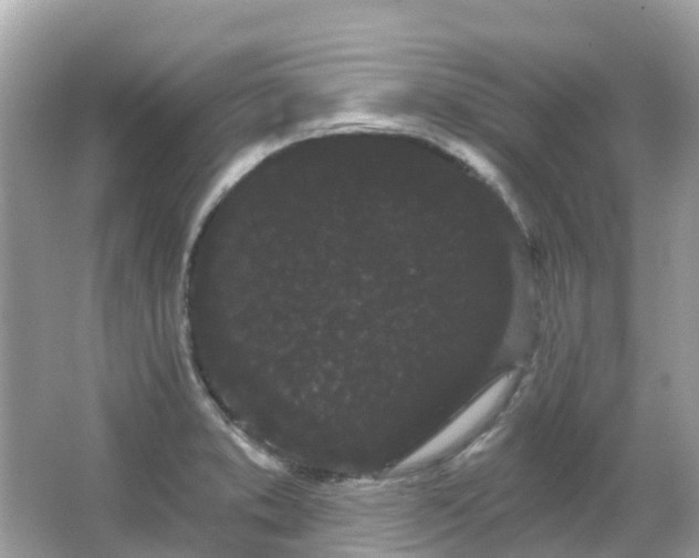 X0000066091373200603131153