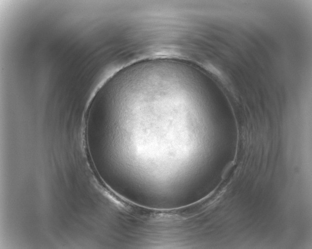 X0000066091374200603131152