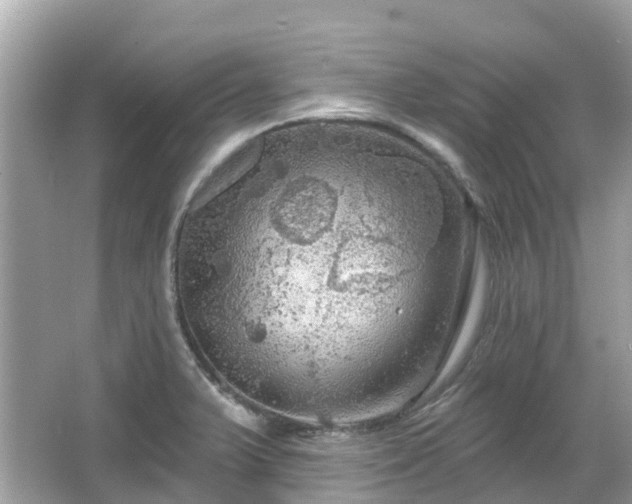 X0000066091375200603131152