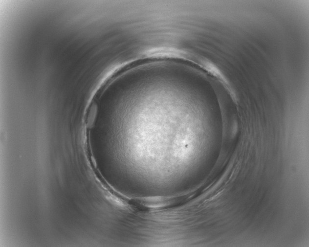 X0000066091376200603131152