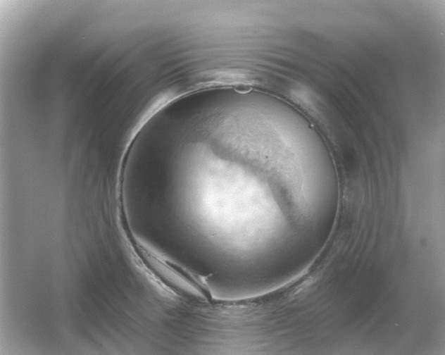 X0000066091378200603131152