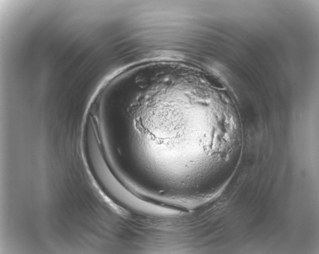 X0000066091379200603131152