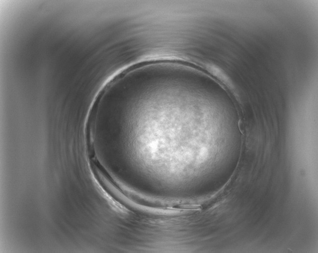 X0000066091380200603131152