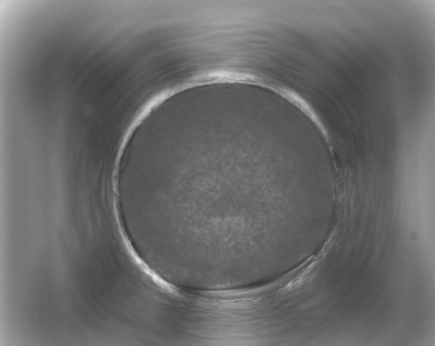 X0000066091381200603131152