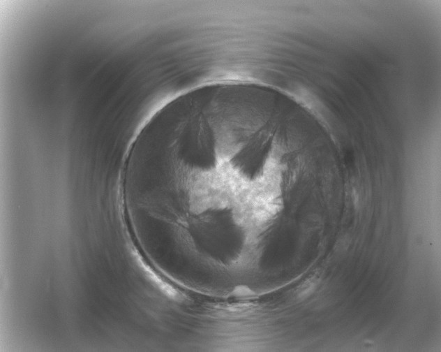 X0000066091382200603131152