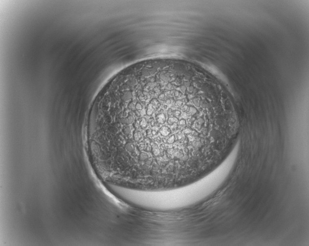 X0000066091383200603131152