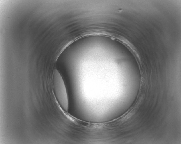 X0000066091385200603131152