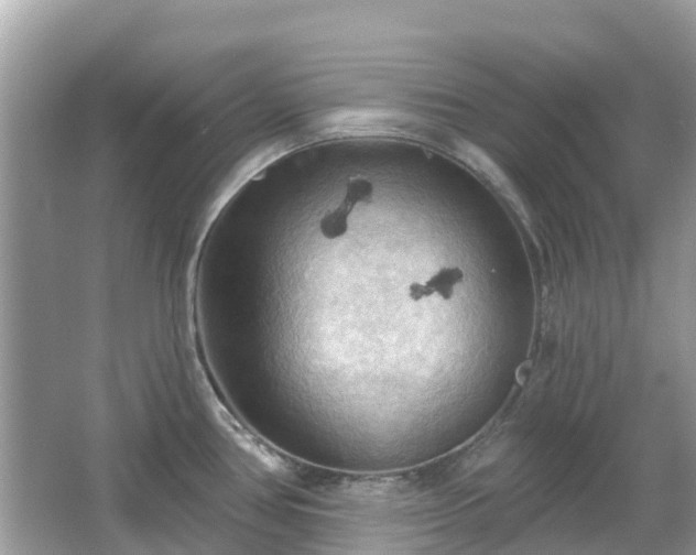 X0000066091386200603131152