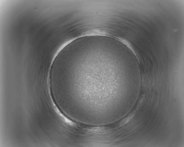 X0000066091387200603131152