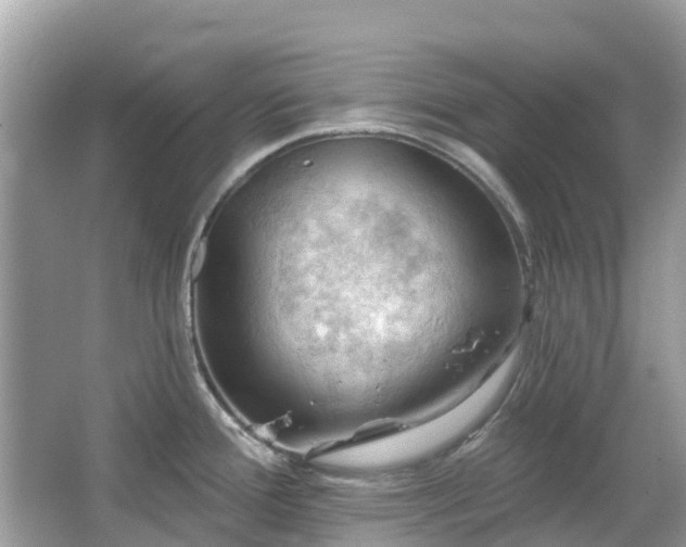 X0000066091388200603131152