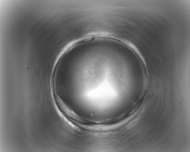 X0000066091389200603131152