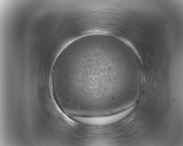 X0000066091391200603131152