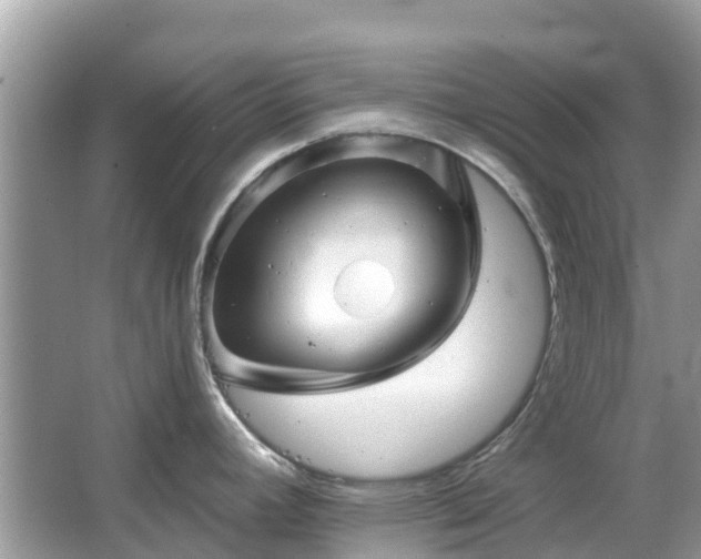 X0000066091392200603131152