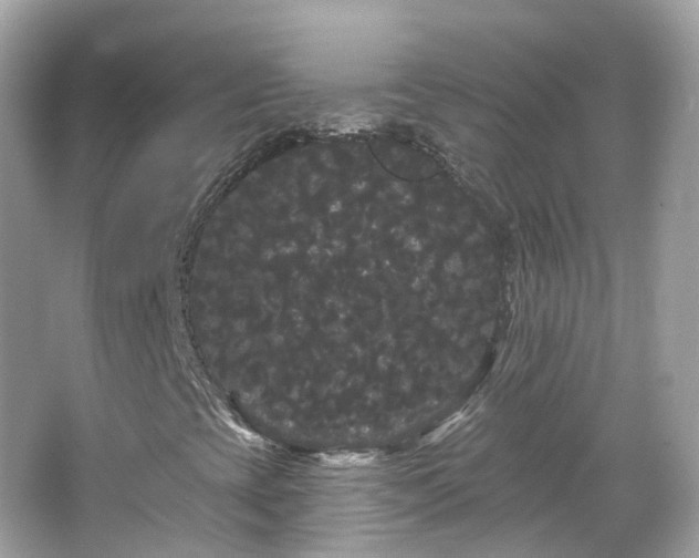 X0000066091393200603131151