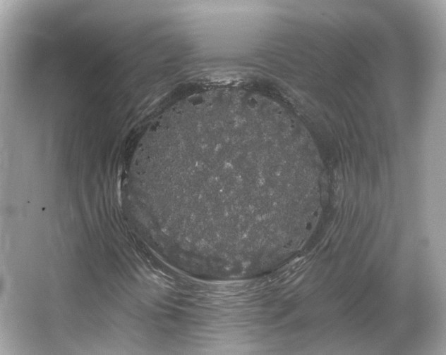 X0000066091394200603131151