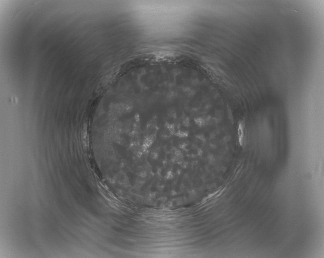 X0000066091395200603131151