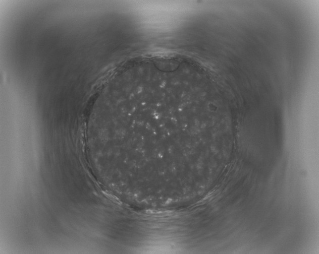 X0000066091397200603131151