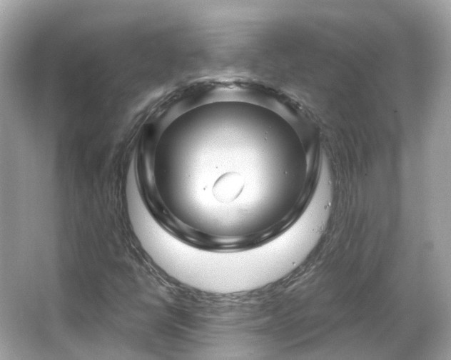 X0000066091398200603131151