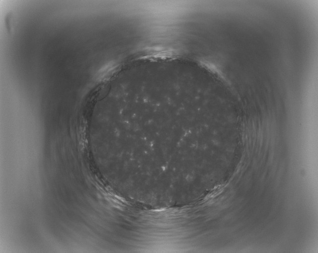 X0000066091399200603131151