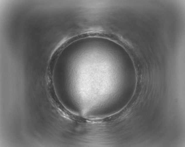 X0000066091400200603131151