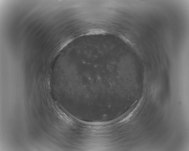 X0000066091401200603131152