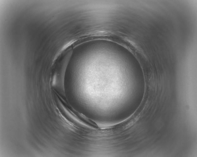 X0000066091402200603131152