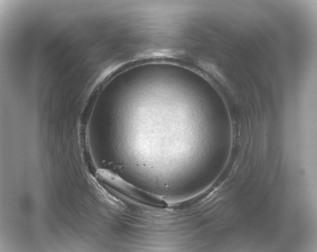 X0000066091404200603131152