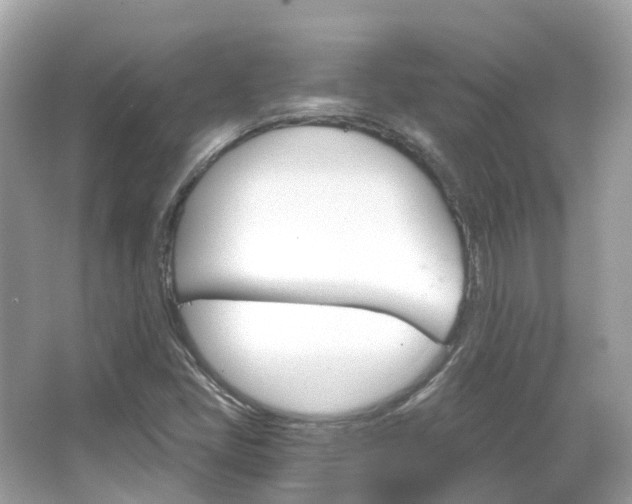 X0000066091405200603131152