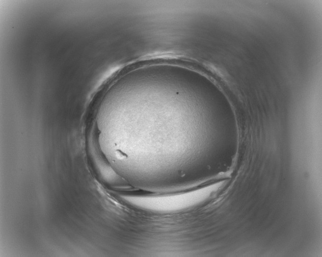 X0000066091406200603131152