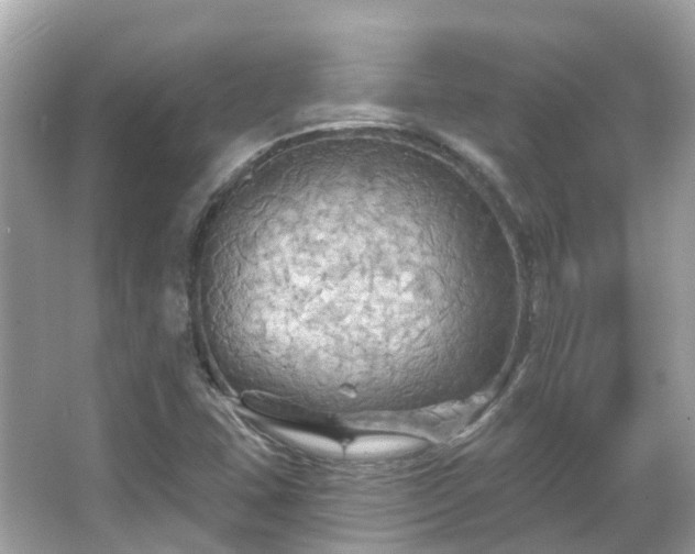 X0000066091407200603131152