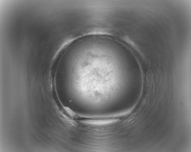 X0000066091408200603131152