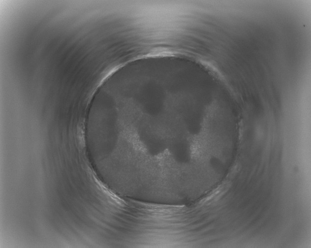 X0000066091409200603131152