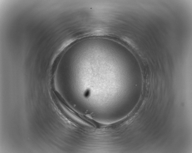 X0000066091410200603131152