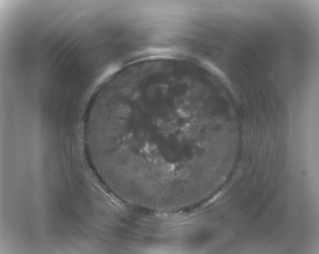 X0000066091411200603131152