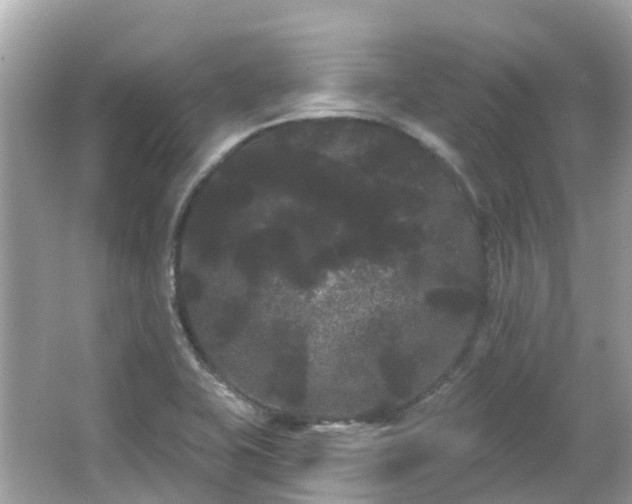 X0000066091415200603131152