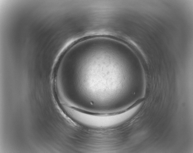 X0000066091416200603131152