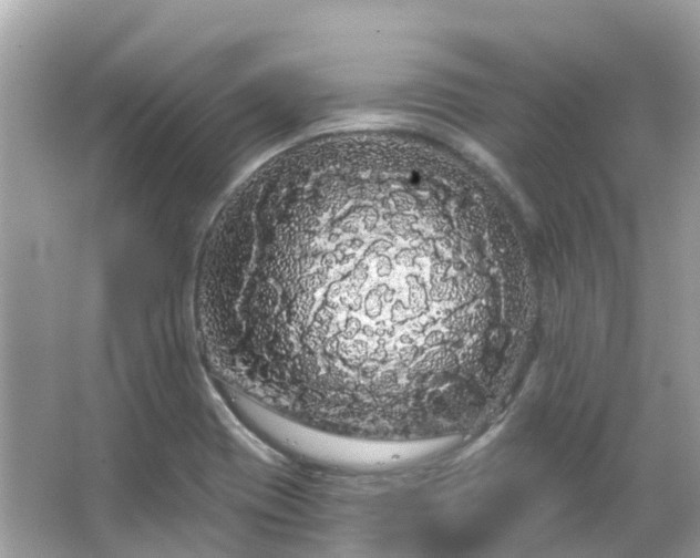 X0000066091417200603131152